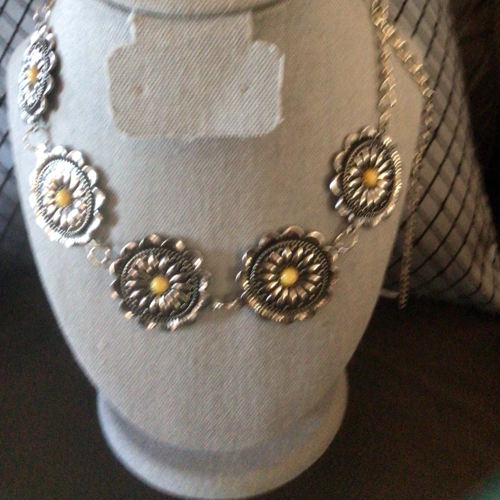 Paparazzi necklace